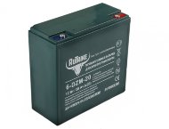 Аккумулятор RuTrike 6-DZM-20 (12V20A/H C2)