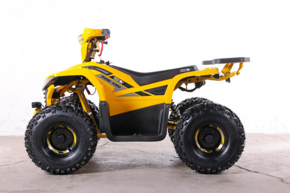 Квадроцикл GreenCamel Гоби K90 (48V 750W R7 Дифф) TaoTao app LUX