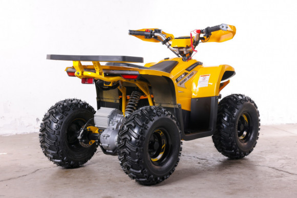 Квадроцикл GreenCamel Гоби K90 (48V 750W R7 Дифф) TaoTao app LUX