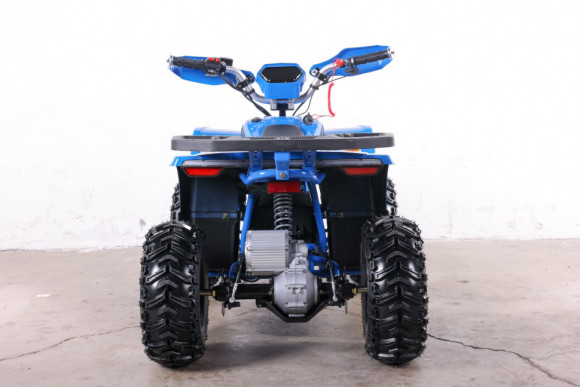 Квадроцикл GreenCamel Гоби K90 (48V 750W R7 Дифф) TaoTao app LUX