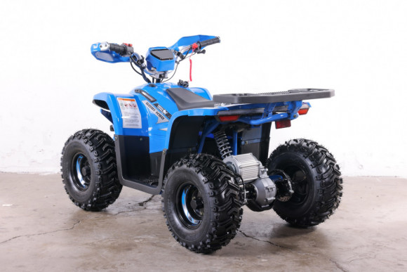 Квадроцикл GreenCamel Гоби K90 (48V 750W R7 Дифф) TaoTao app LUX