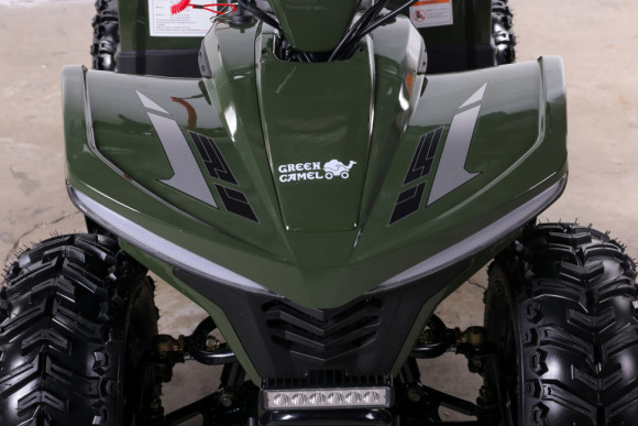 Квадроцикл GreenCamel Гоби K90 (48V 750W R7 Дифф) TaoTao app LUX