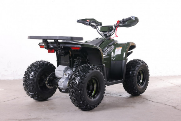 Квадроцикл GreenCamel Гоби K90 (48V 750W R7 Дифф) TaoTao app LUX