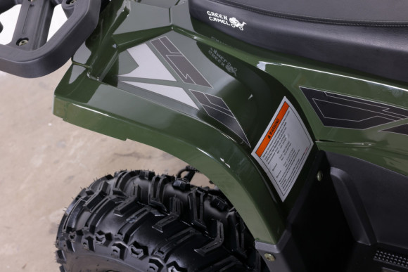 Квадроцикл GreenCamel Гоби K90 (48V 750W R7 Дифф) TaoTao app LUX