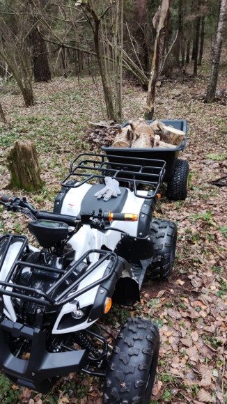 Дачник ЕМ-015 спереди, везет прицеп с дровами
