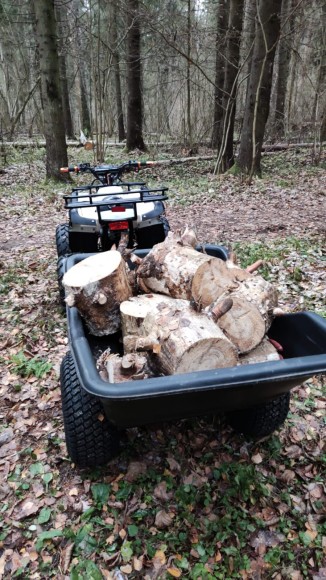 Дачник ЕМ-015 везет прицеп с дровами
