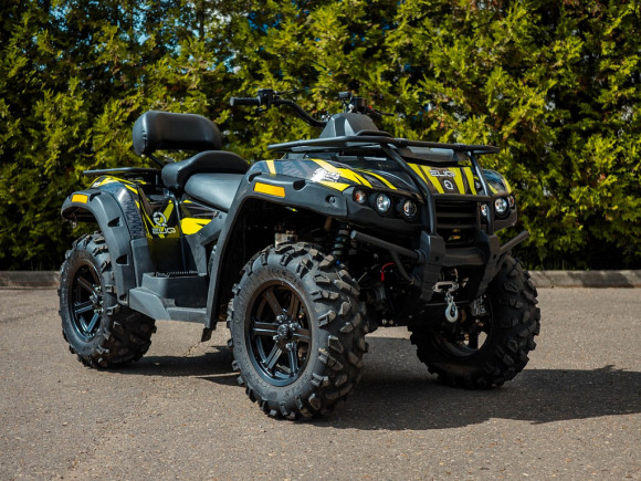 Электроквадроцикл ELIQ RM 650