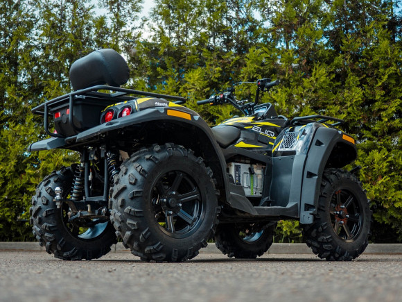 Электроквадроцикл ELIQ RM 650