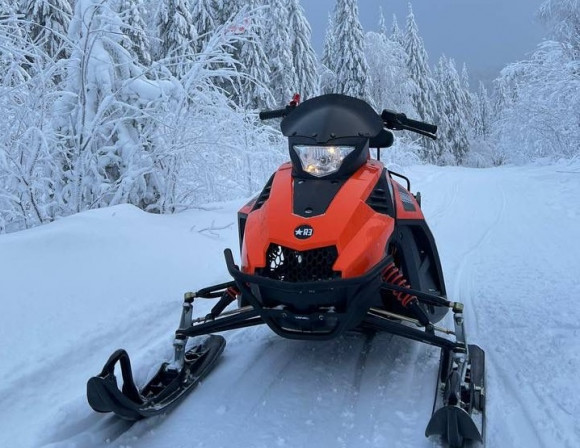 Электроснегоход R3 Sirius 4 Квт с АКБ и ЗУ