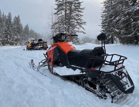 Электроснегоход R3 Sirius 4 Квт с АКБ и ЗУ