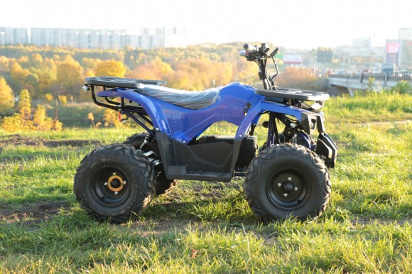 Дачник-01У New ( 48V 1000W R8 Диф)