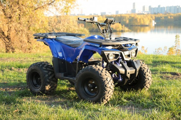 Дачник-01У New ( 48V 1000W R8 Диф)