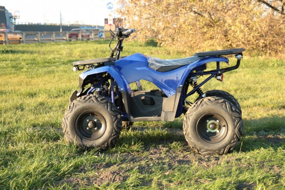 Дачник-01У New ( 48V 1000W R8 Диф)