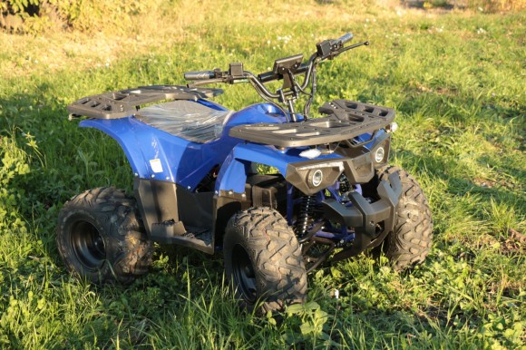 Дачник-01У New ( 48V 1000W R8 Диф)