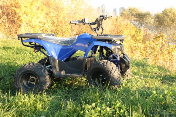 Дачник-01У New ( 48V 1000W R8 Диф)