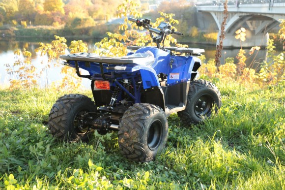 Дачник-01У New ( 48V 1000W R8 Диф)