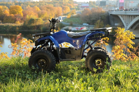 Дачник-01У New ( 48V 1000W R8 Диф)