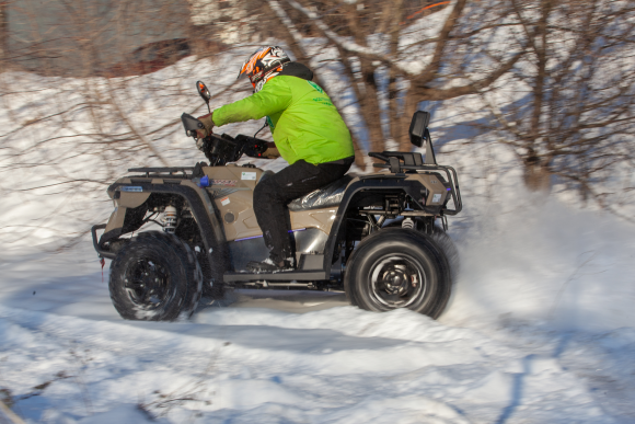 Квадроцикл GreenCamel Linhai A-LH80DA 4x4 (7,5kW 150Ah 65 км/ч)