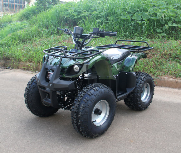 Дачник-01У (1000Вт 48В R8 цепь)