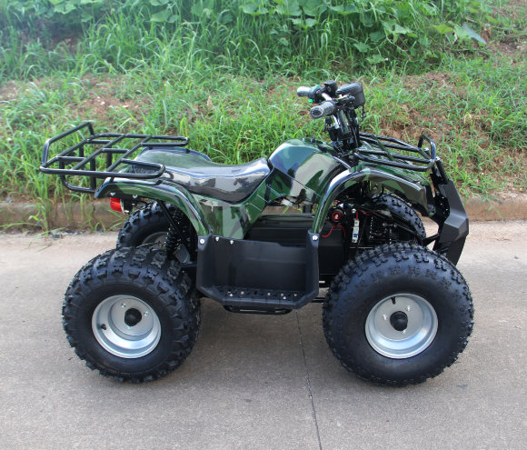 Дачник-01У (1000Вт 48В R8 цепь)