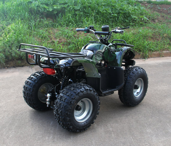 Дачник-01У (1000Вт 48В R8 цепь)