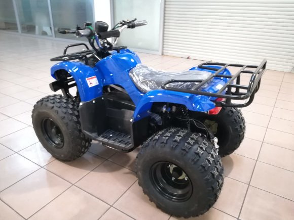 Дачник-01У (1000Вт 48В R8 цепь)