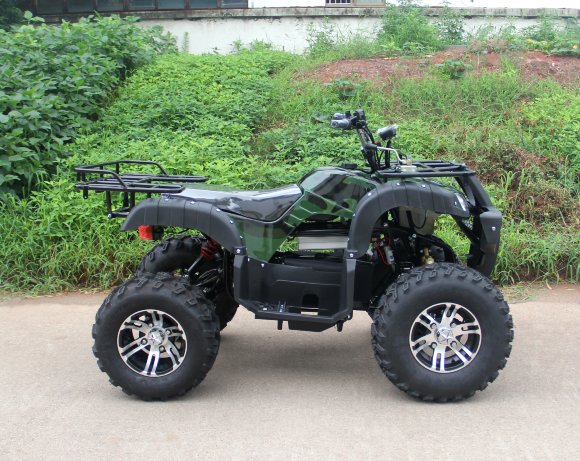 Вездеход-01 (1000Вт 60В R10 алюм. Диф)