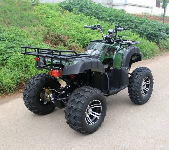 Вездеход-01 (1000Вт 60В R10 алюм. Диф)