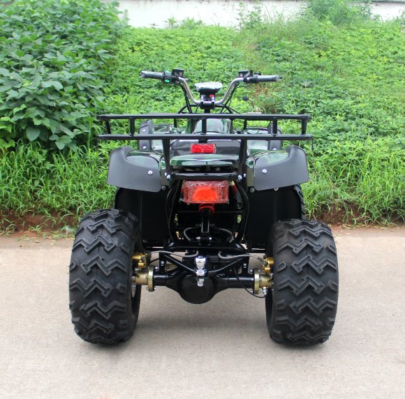 Вездеход-01 (1000Вт 60В R10 алюм. Диф)