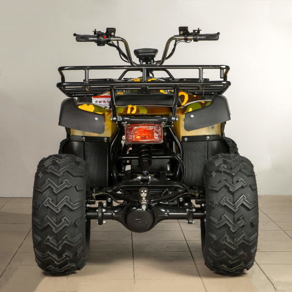 Вездеход-01 (1000Вт 60В R10 алюм. Диф)