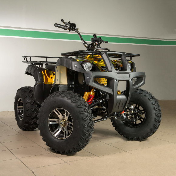 Вездеход-01 (1000Вт 60В R10 алюм. Диф)